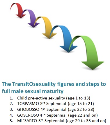 TransitOsexuality Figures